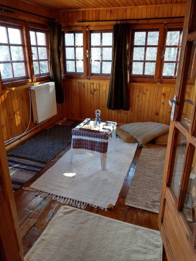 Grandpa'S Hidden Crib, 6 Bedroom, Pet Friendlyシナヤ エクステリア 写真